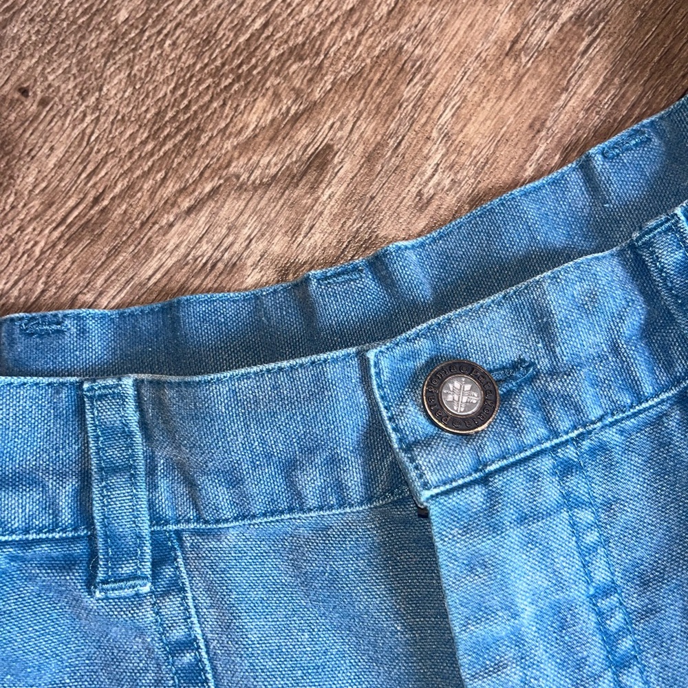 Patagonia Vibrant Blue Denim Shorts